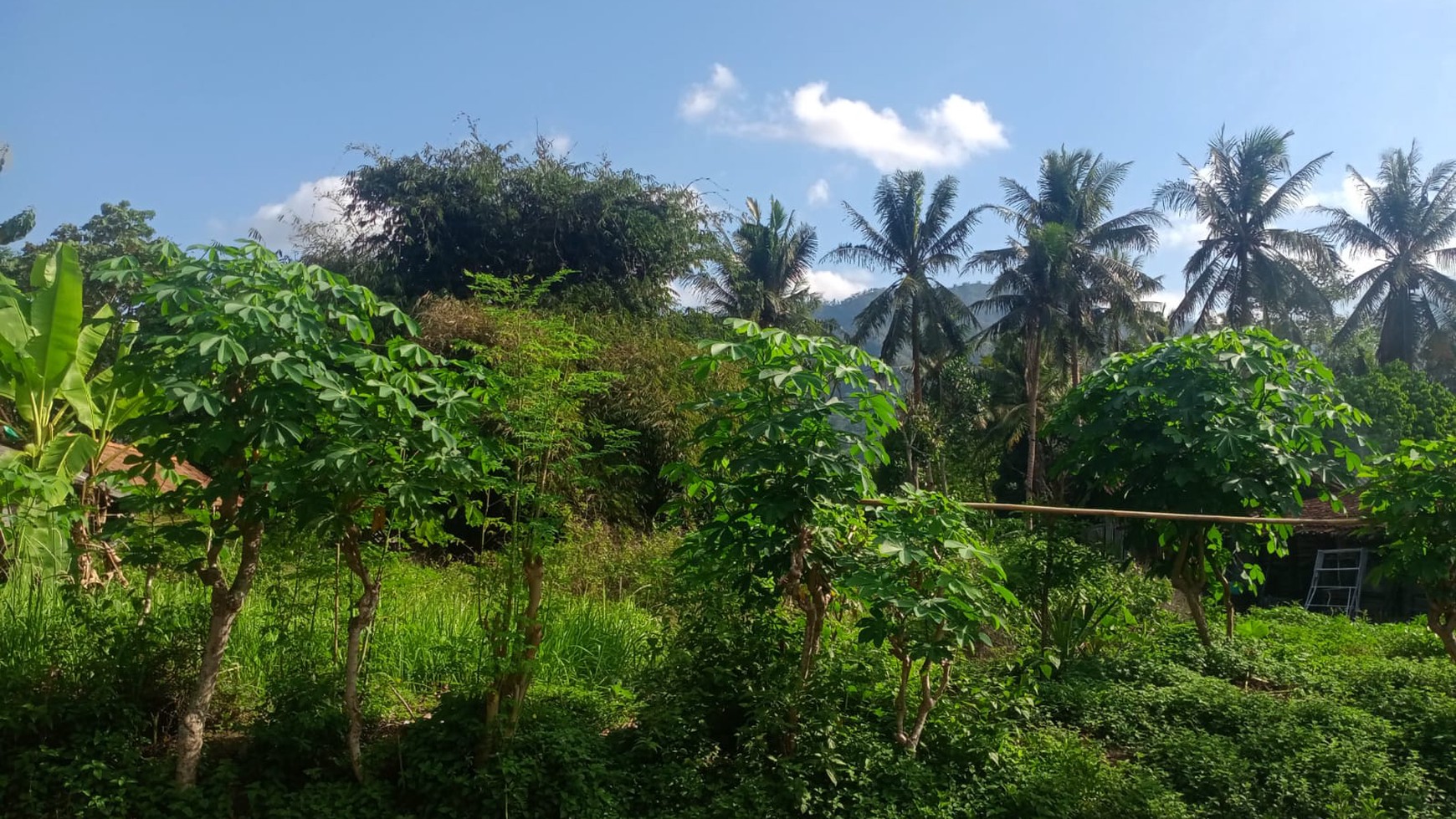 Tanah Luas 821 Meter Persegi Lokasi Dekat Wisata Candi Borobudur 