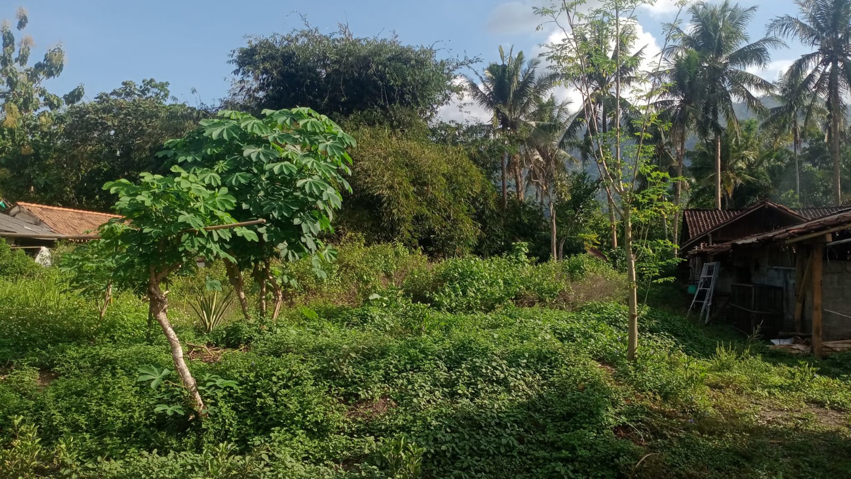 Tanah Luas 821 Meter Persegi Lokasi Dekat Wisata Candi Borobudur 