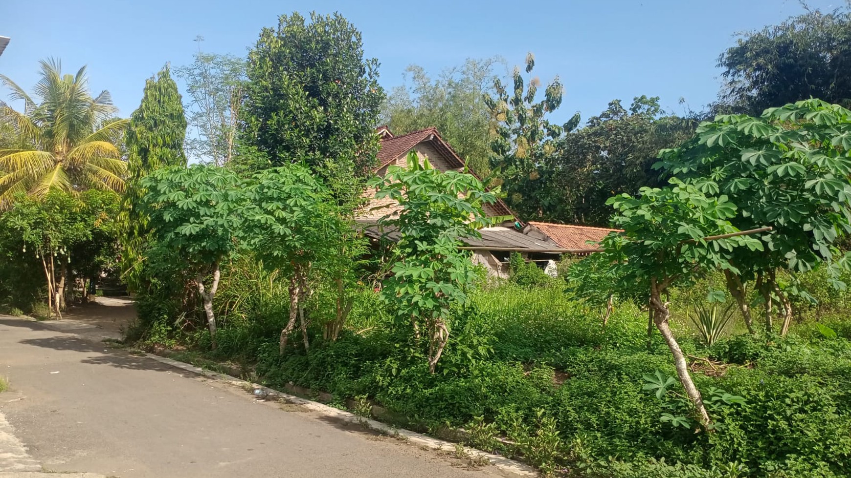 Tanah Luas 821 Meter Persegi Lokasi Dekat Wisata Candi Borobudur 