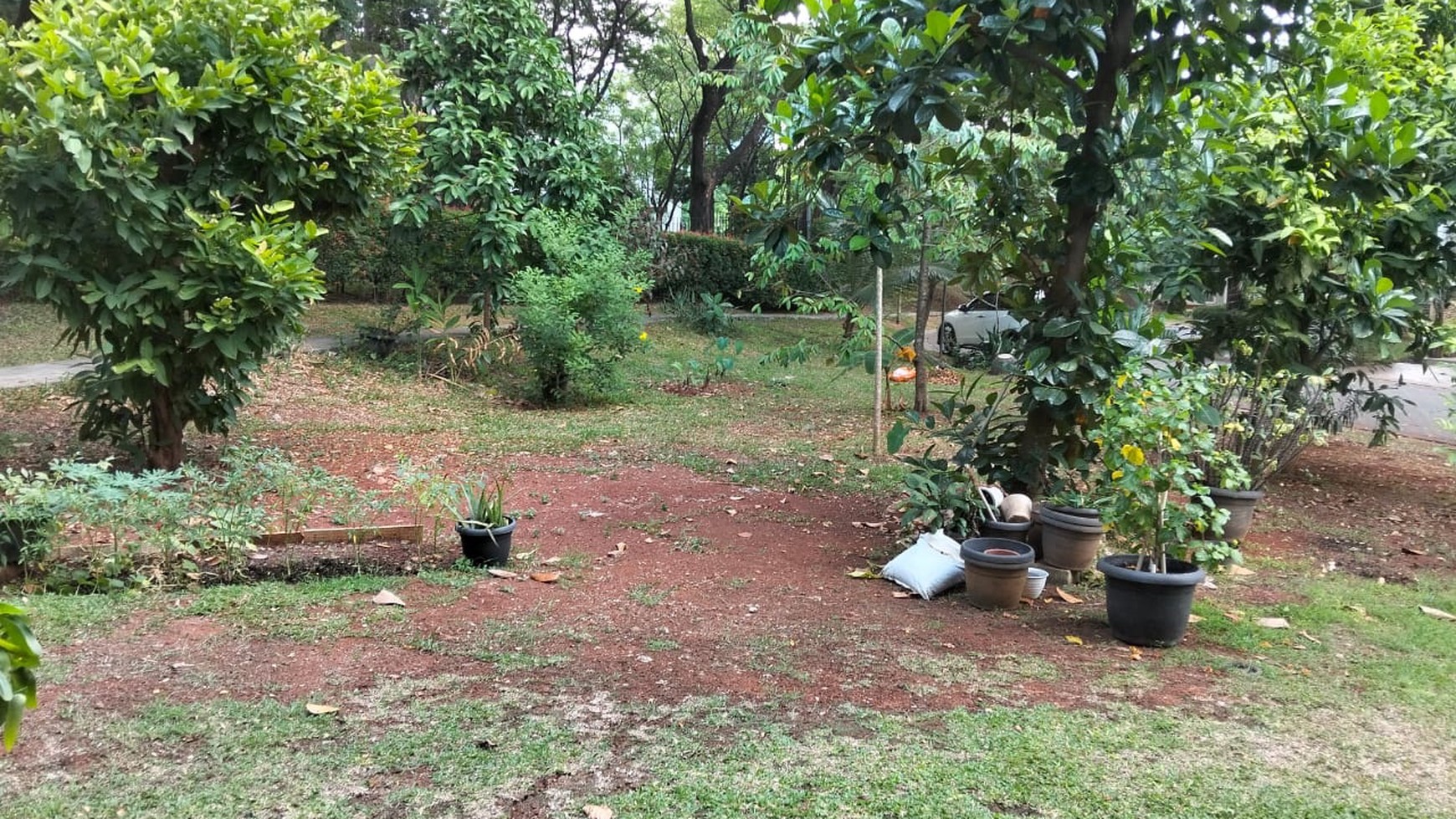 Rumah hoek siap huni dengan halaman di Foresta BSD 