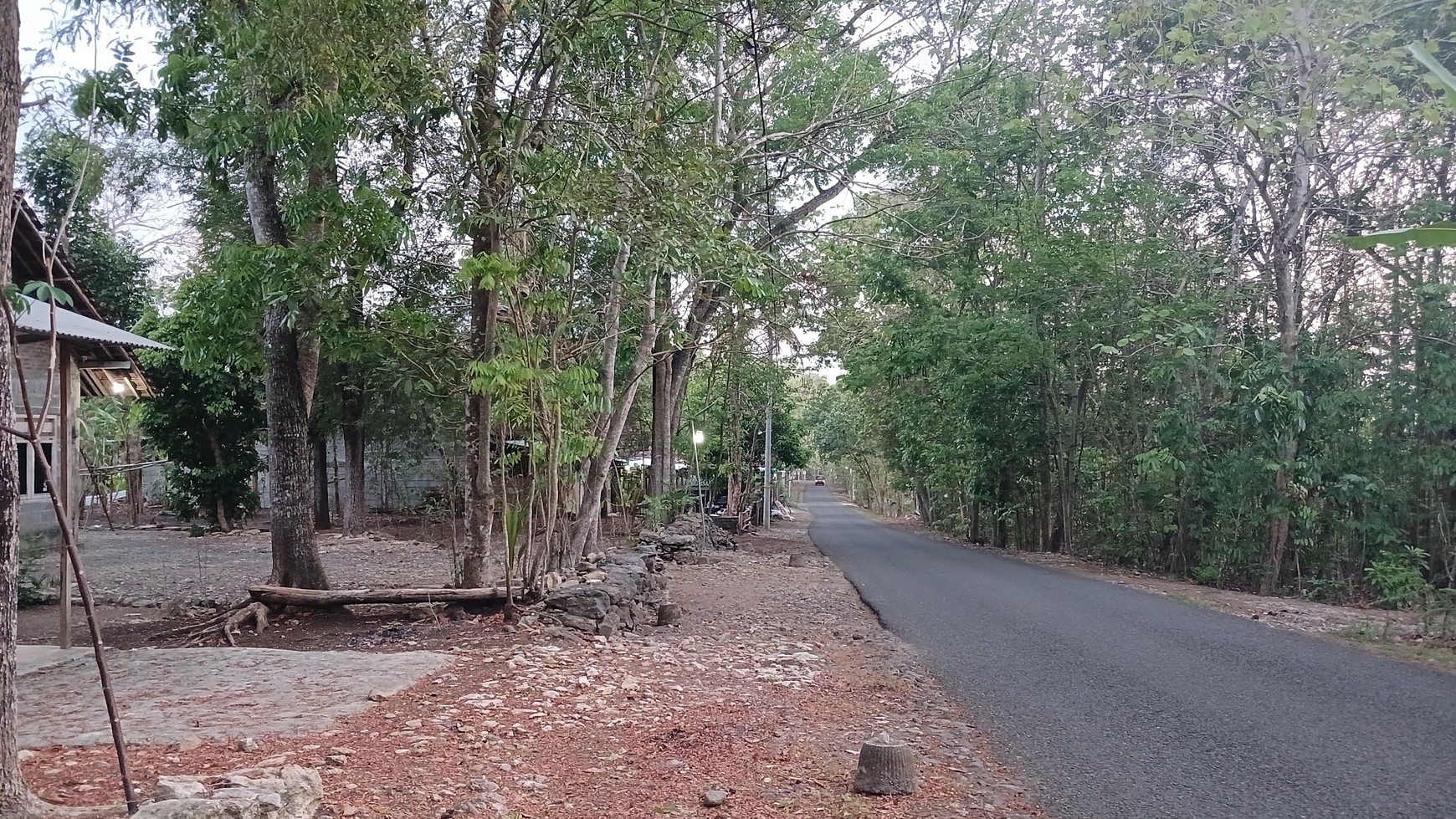 Tanah Pekarangan Luas 597 Meter Persegi Lokasi Pajangan Bantul 