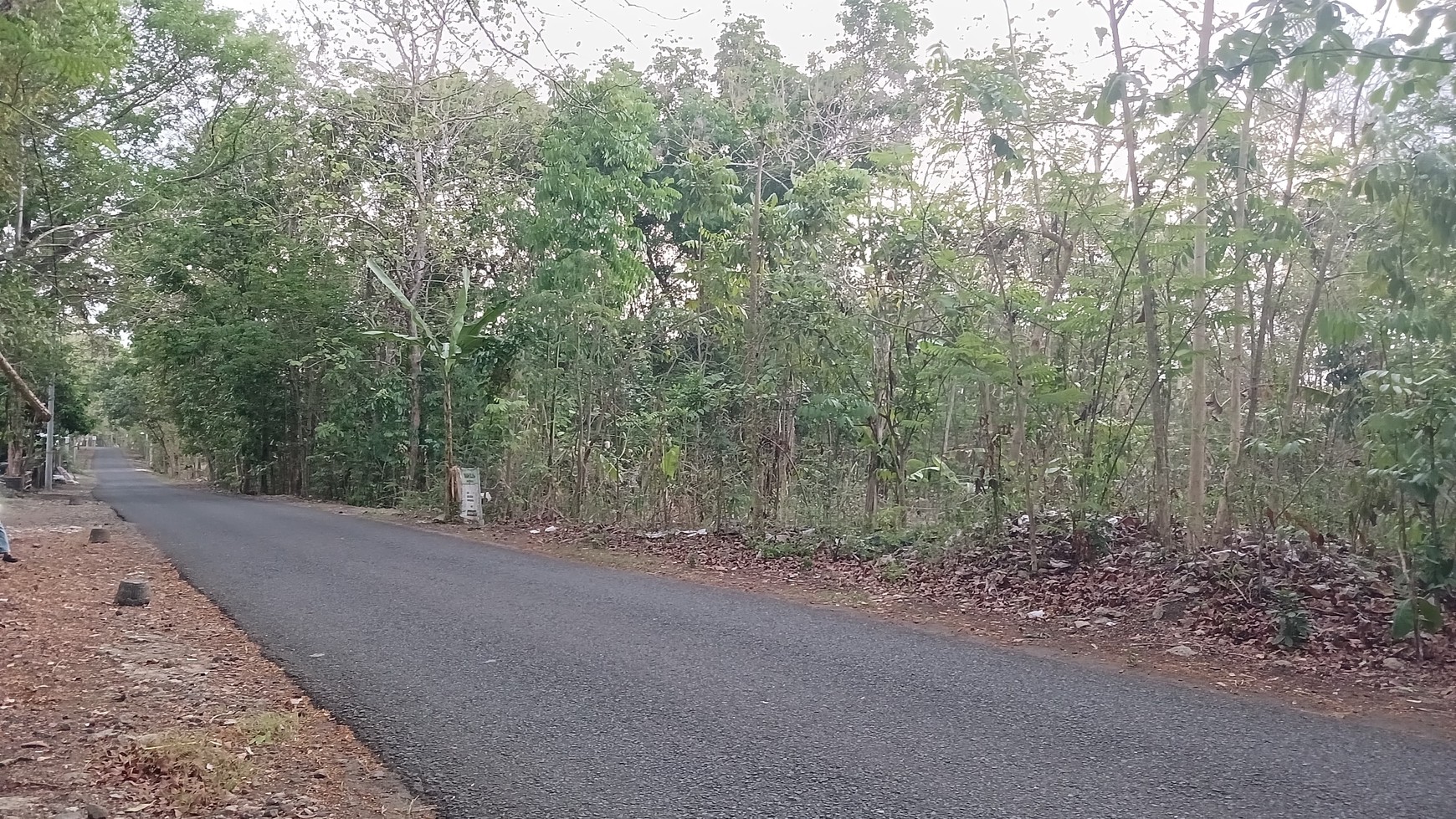 Tanah Pekarangan Luas 597 Meter Persegi Lokasi Pajangan Bantul 