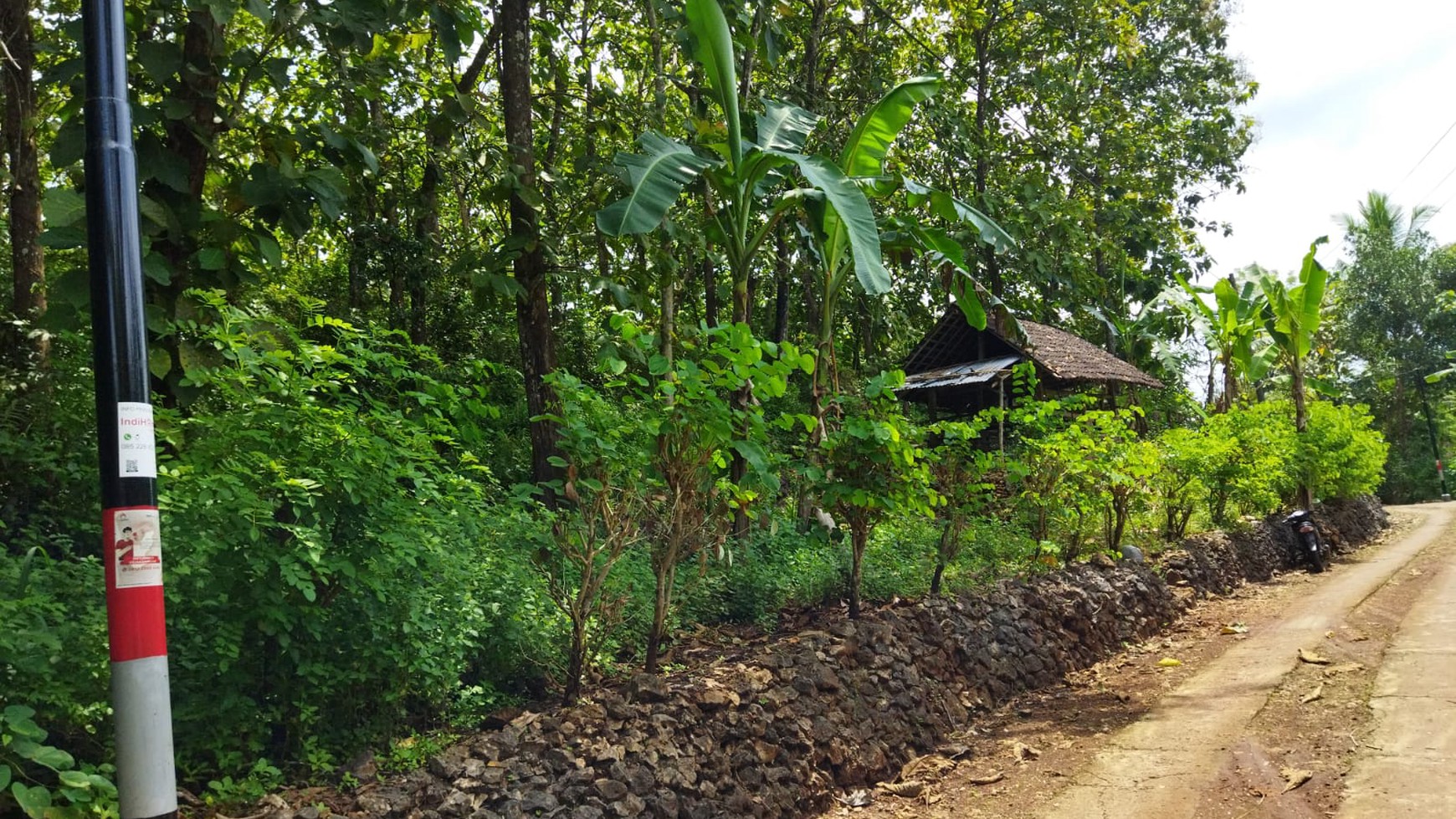 Tanah / Kebun Jati Seluas 2.2261 Meter Persegi Di Panggang Gunung Kidul