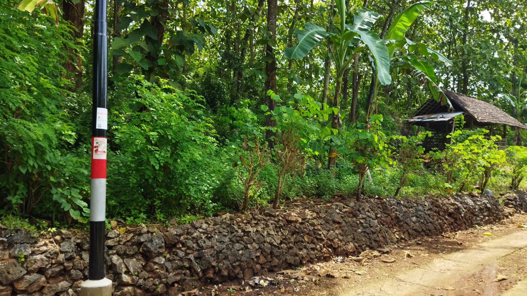 Tanah / Kebun Jati Seluas 2.2261 Meter Persegi Di Panggang Gunung Kidul