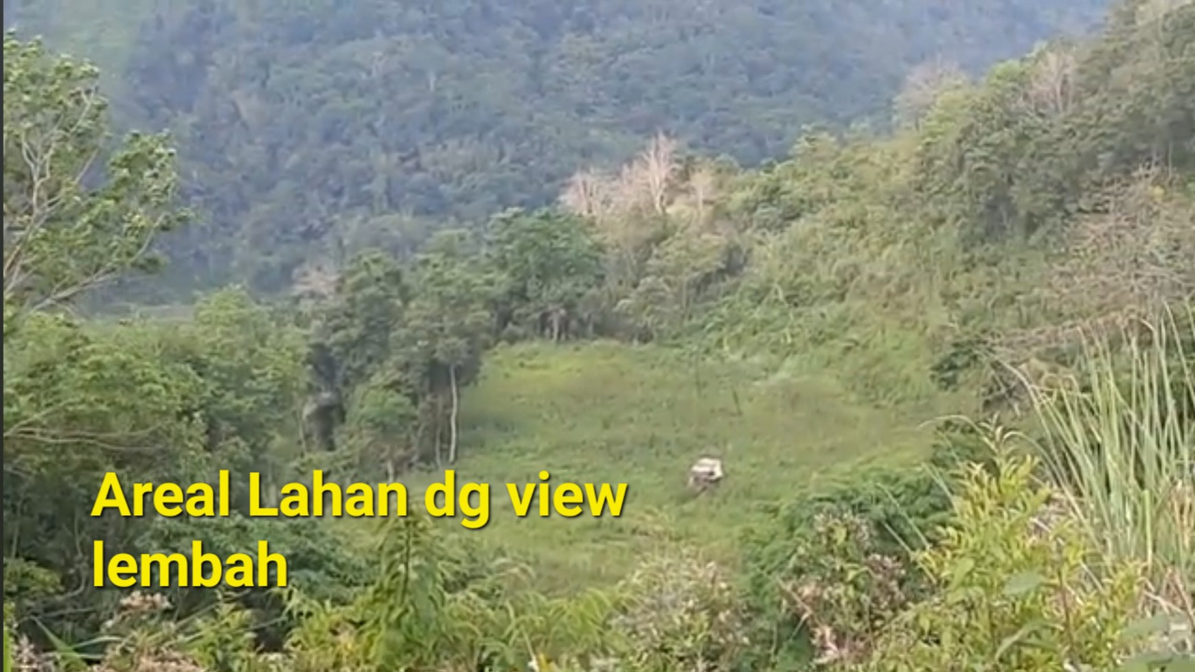 For Sale Lahan 260 Hectare Dengan Konsep Pembangunan Kota di Pabuaran, Sukabumi  