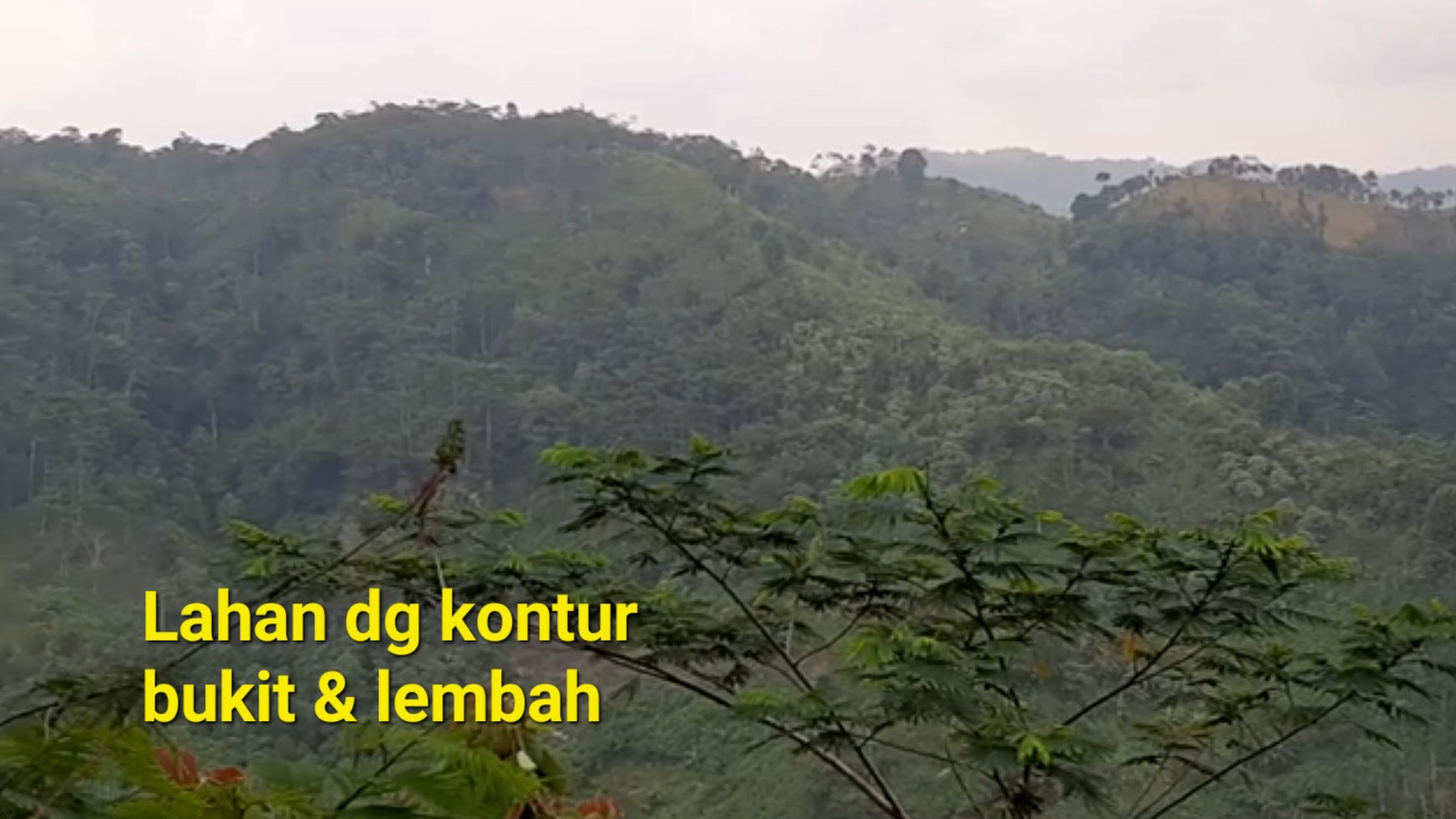 For Sale Lahan 260 Hectare Dengan Konsep Pembangunan Kota di Pabuaran, Sukabumi  