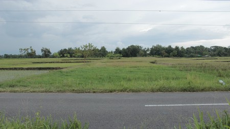 TANAH SAWAH SELUAS 1459 METER PERSEGI, DI JL GODEAN