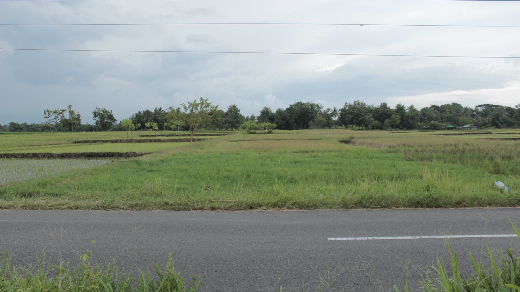 TANAH SAWAH SELUAS 1459 METER PERSEGI, DI JL GODEAN