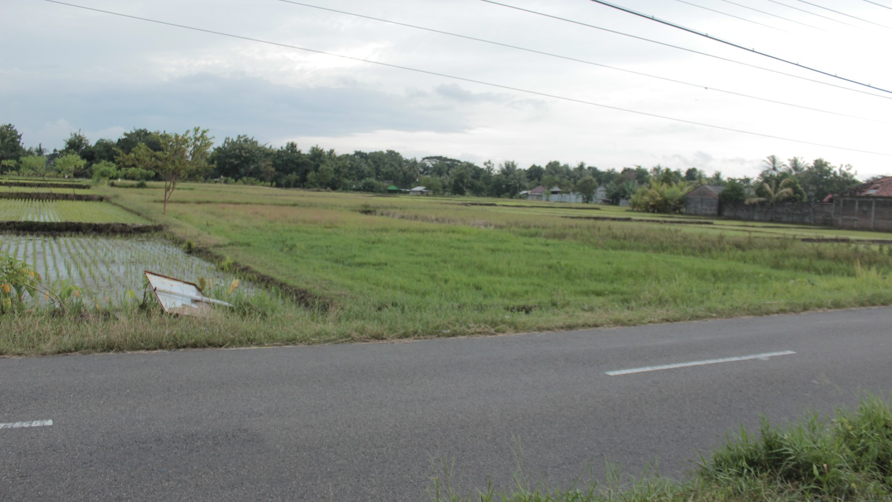 TANAH SAWAH SELUAS 1459 METER PERSEGI, DI JL GODEAN