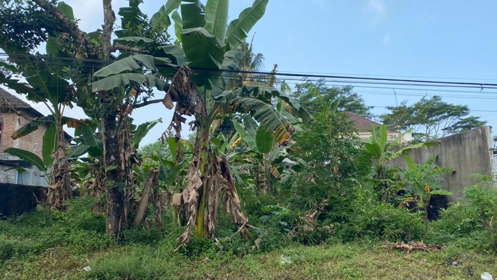 Tanah Dekat Kampus UII Jl Kaliurang Km 13.5 Sleman