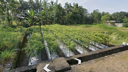 TANAH SELUAS 373 METER DI CANDI KARANG