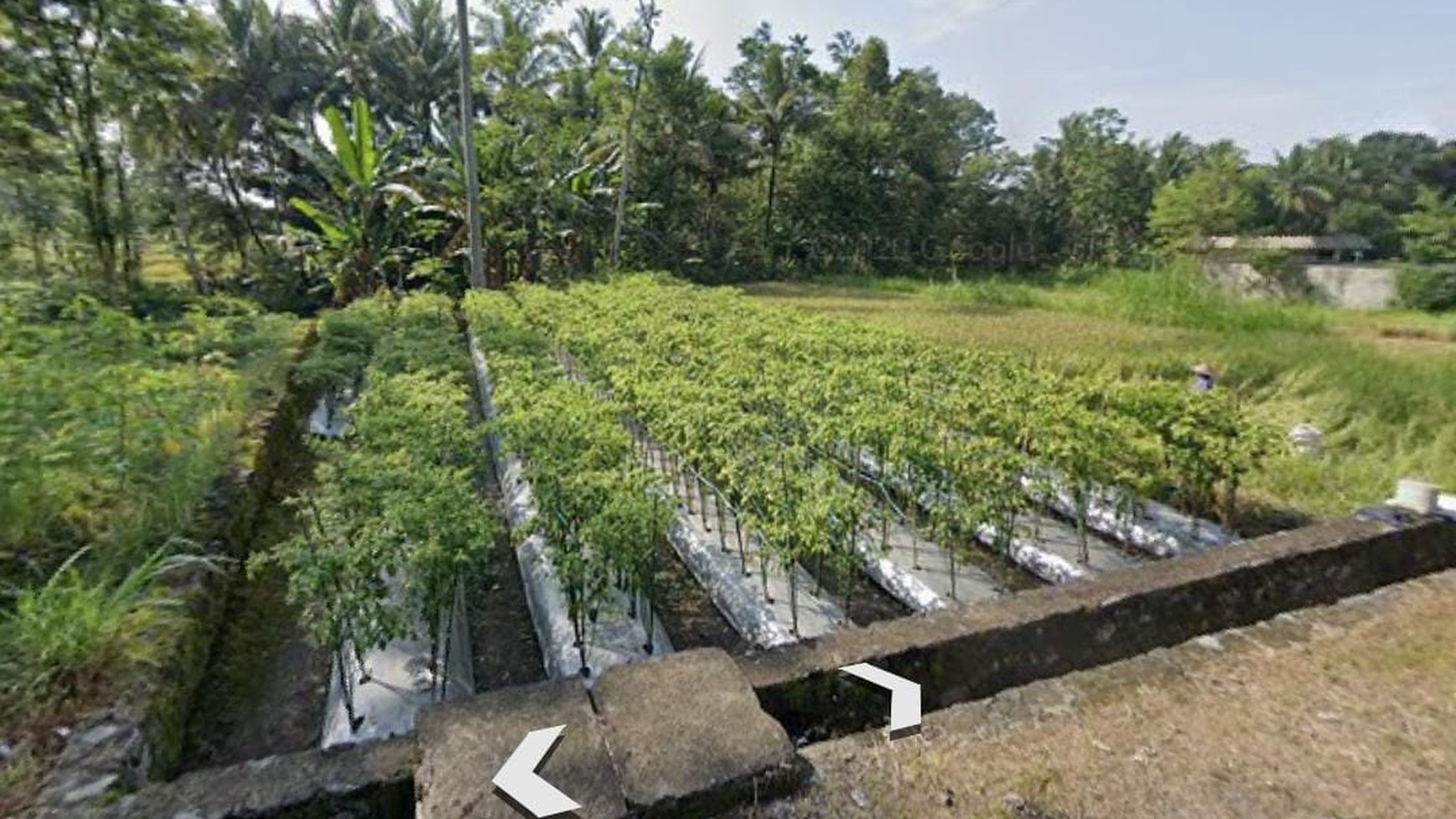 TANAH SELUAS 373 METER DI CANDI KARANG
