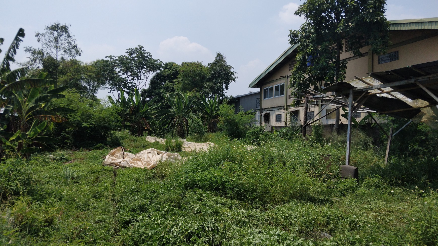 Tanah di pinggir jalan raya ciangsana nagrak dekat ke toll nagrak harga nego sampai deal