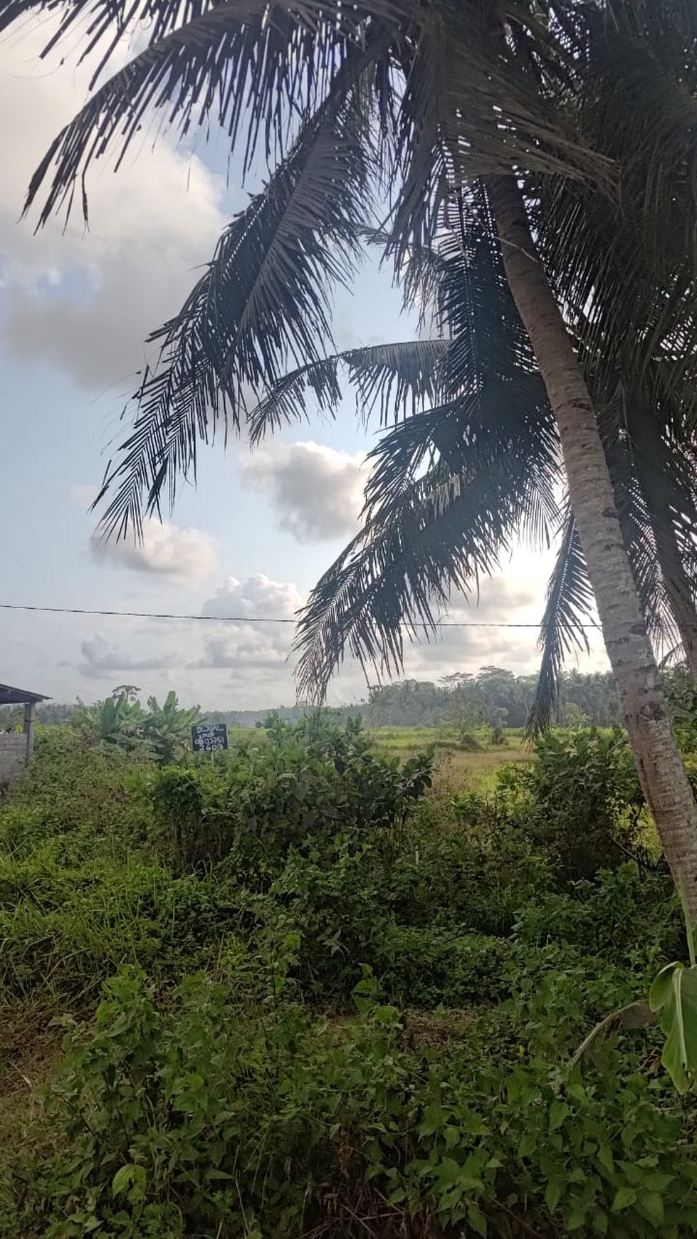 Tanah Seluas 3682 Meter Persegi Lokasi Strategis Dekat Bandara YIA 