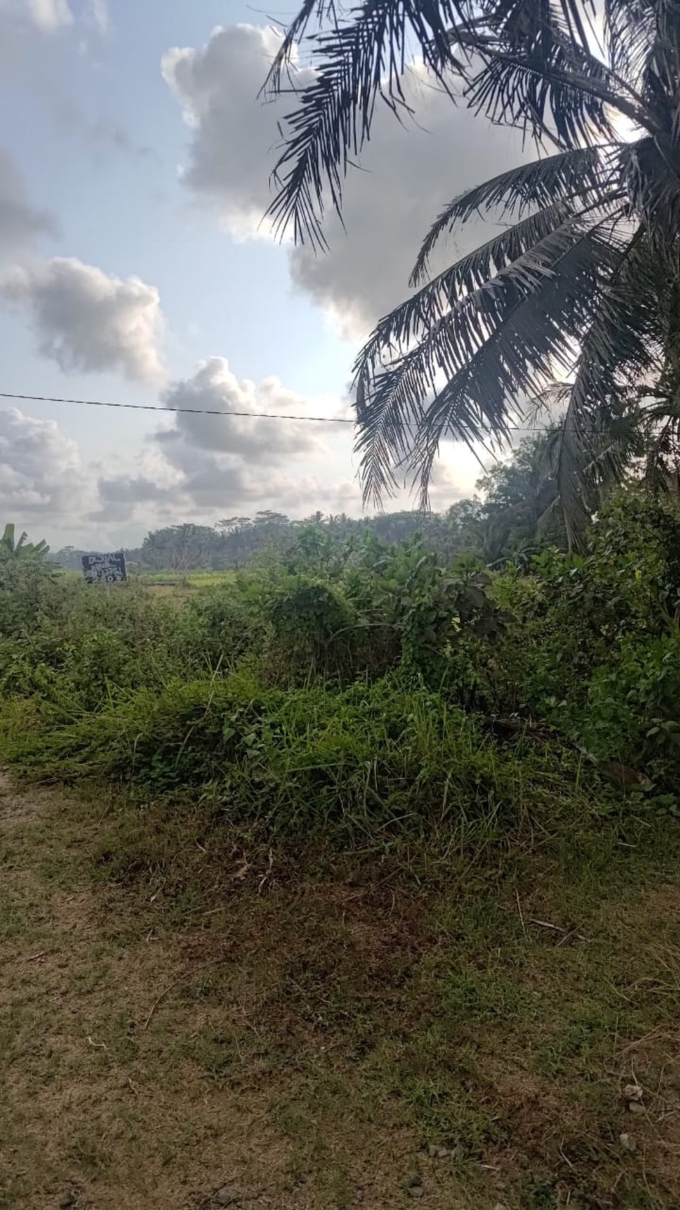 Tanah Seluas 3682 Meter Persegi Lokasi Strategis Dekat Bandara YIA 