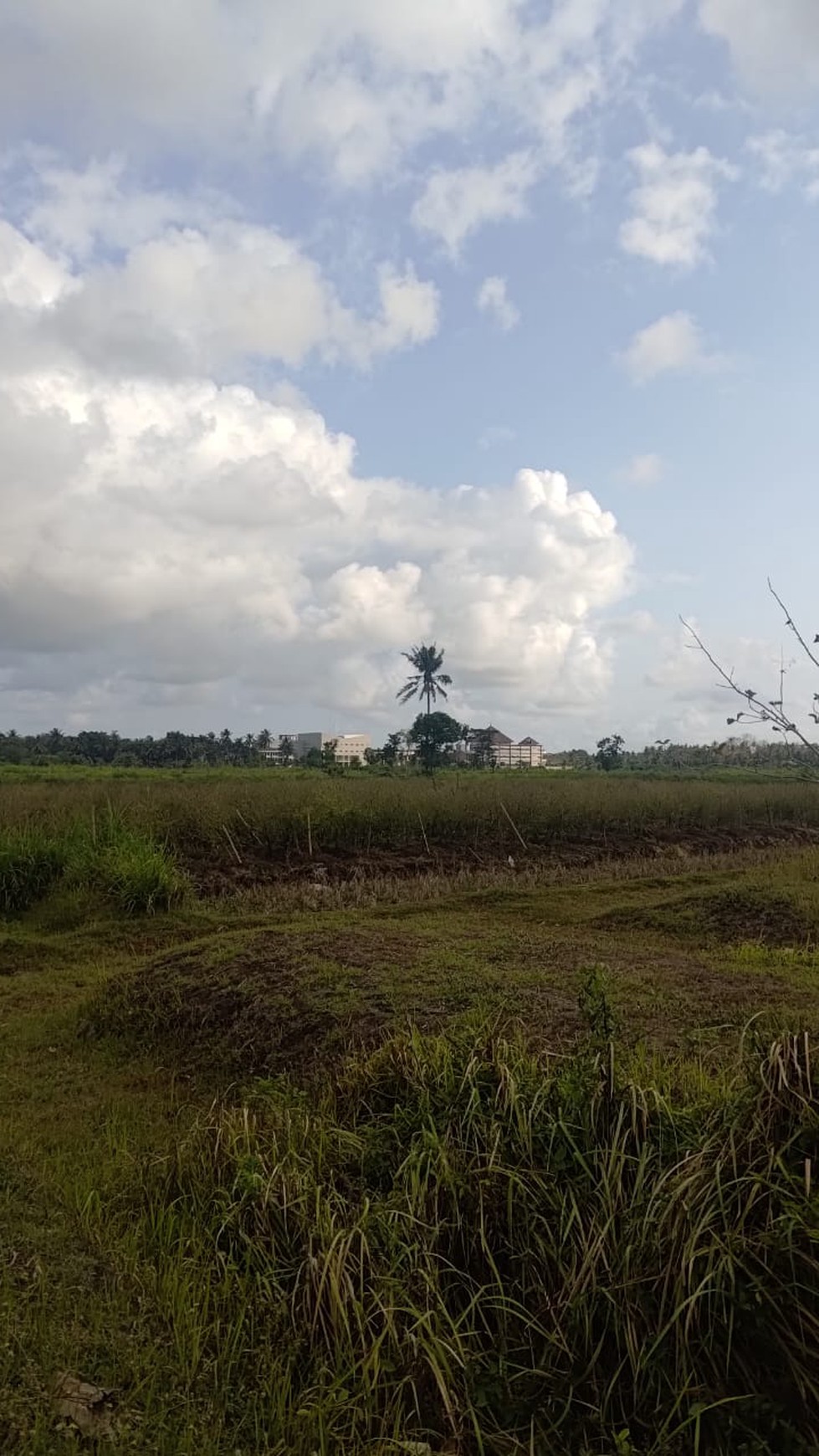 Tanah Seluas 3682 Meter Persegi Lokasi Strategis Dekat Bandara YIA 