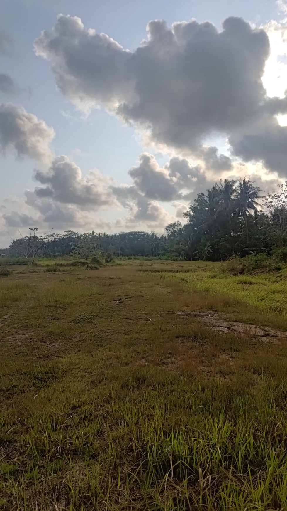 Tanah Seluas 3682 Meter Persegi Lokasi Strategis Dekat Bandara YIA 