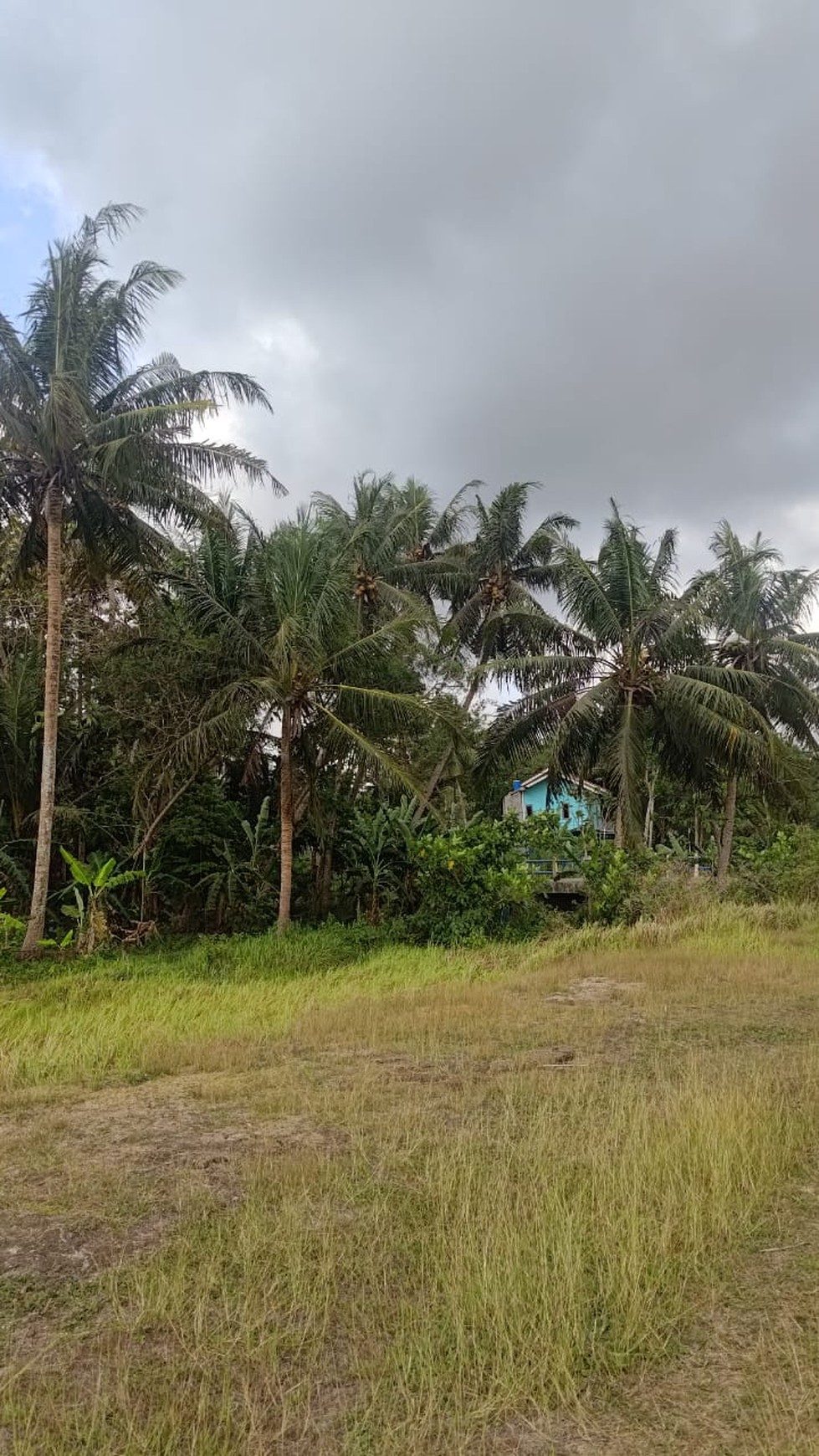 Tanah Seluas 3682 Meter Persegi Lokasi Strategis Dekat Bandara YIA 