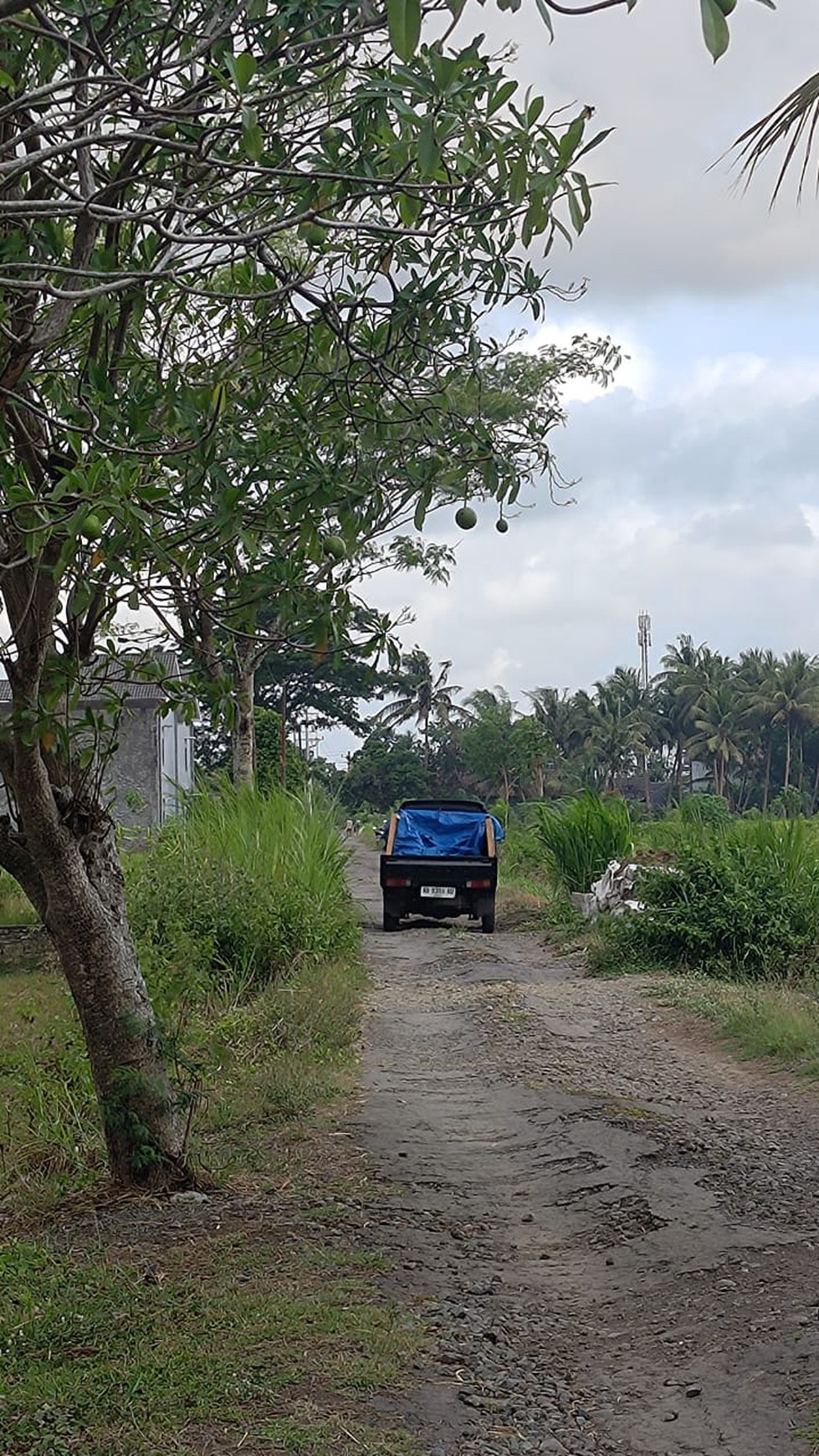 Tanah Seluas 3682 Meter Persegi Lokasi Strategis Dekat Bandara YIA 