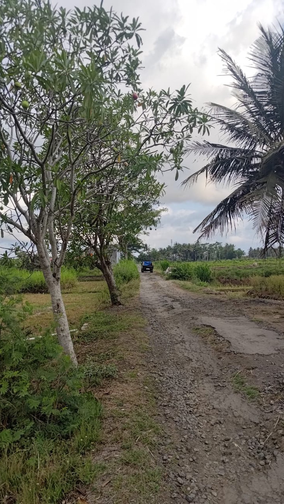 Tanah Seluas 3682 Meter Persegi Lokasi Strategis Dekat Bandara YIA 