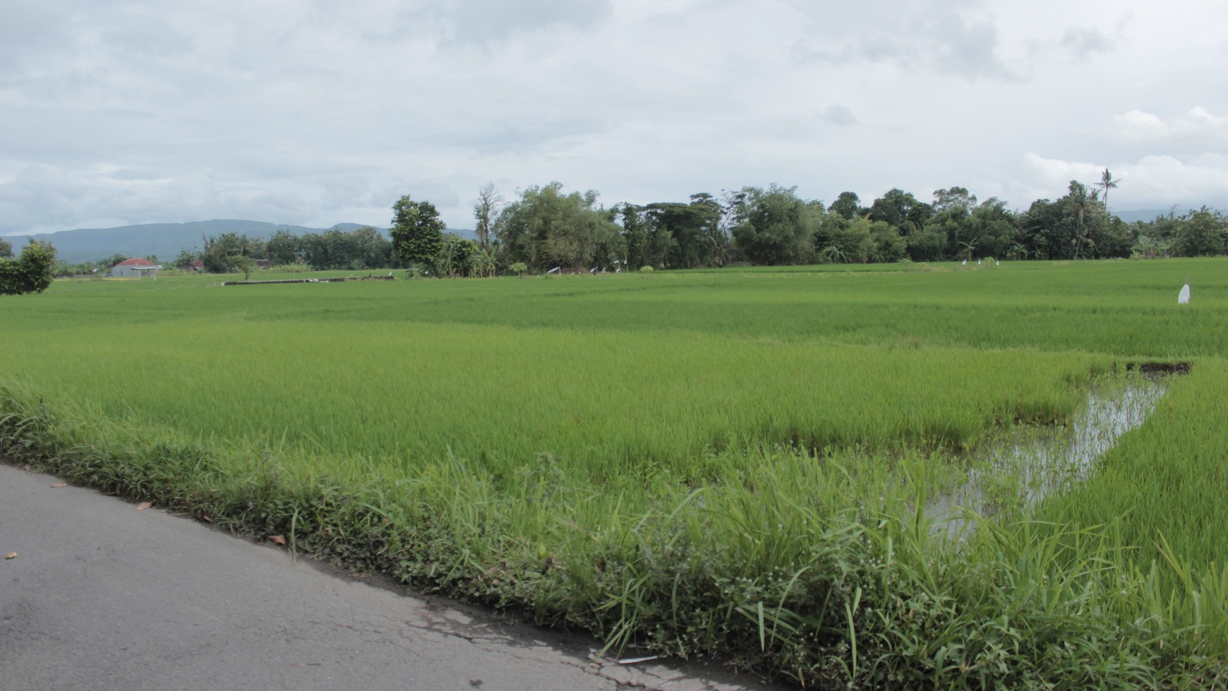 TANAH PEKARANGAN SELUAS 514 METER PERSEGI, DI GABUSAN, SEWON, BANTUL