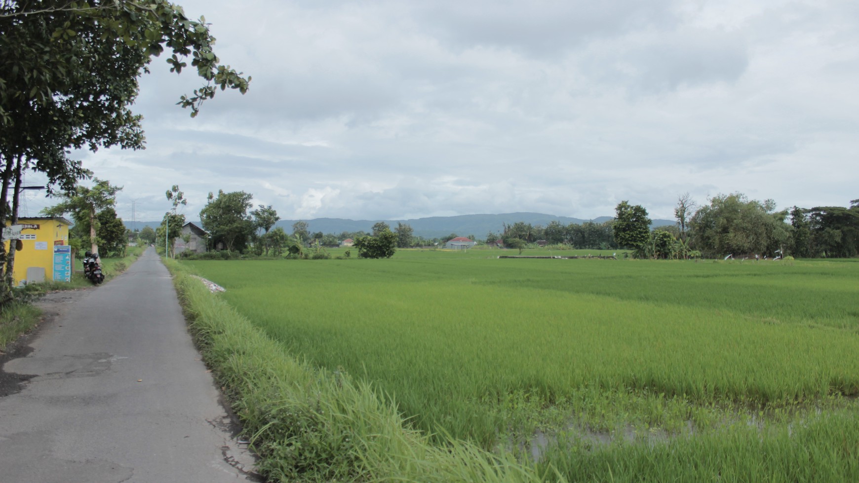 TANAH PEKARANGAN SELUAS 514 METER PERSEGI, DI GABUSAN, SEWON, BANTUL