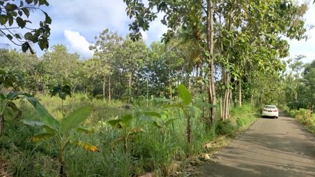 Tanah Pekarangan 1968 Meter Persegi Di Semanu Dekat Kampus UNY Gunung Kidul 