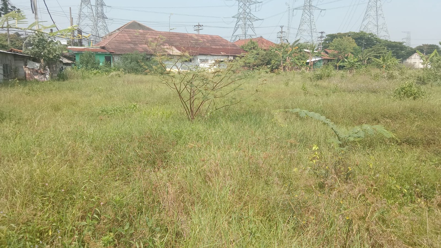 Tanah 2150 Meter Persegi Di Beji Batang Jawa Tengah