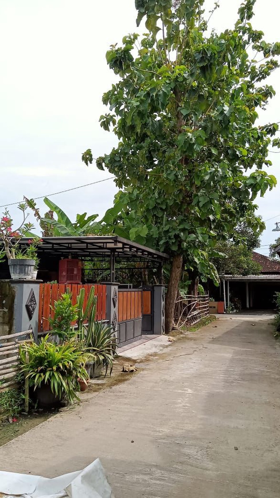 Rumah Tinggal 4 Kamar Cocok Untuk Keluarga Besar Di Gedongan Dekat SMA 1 Bantul