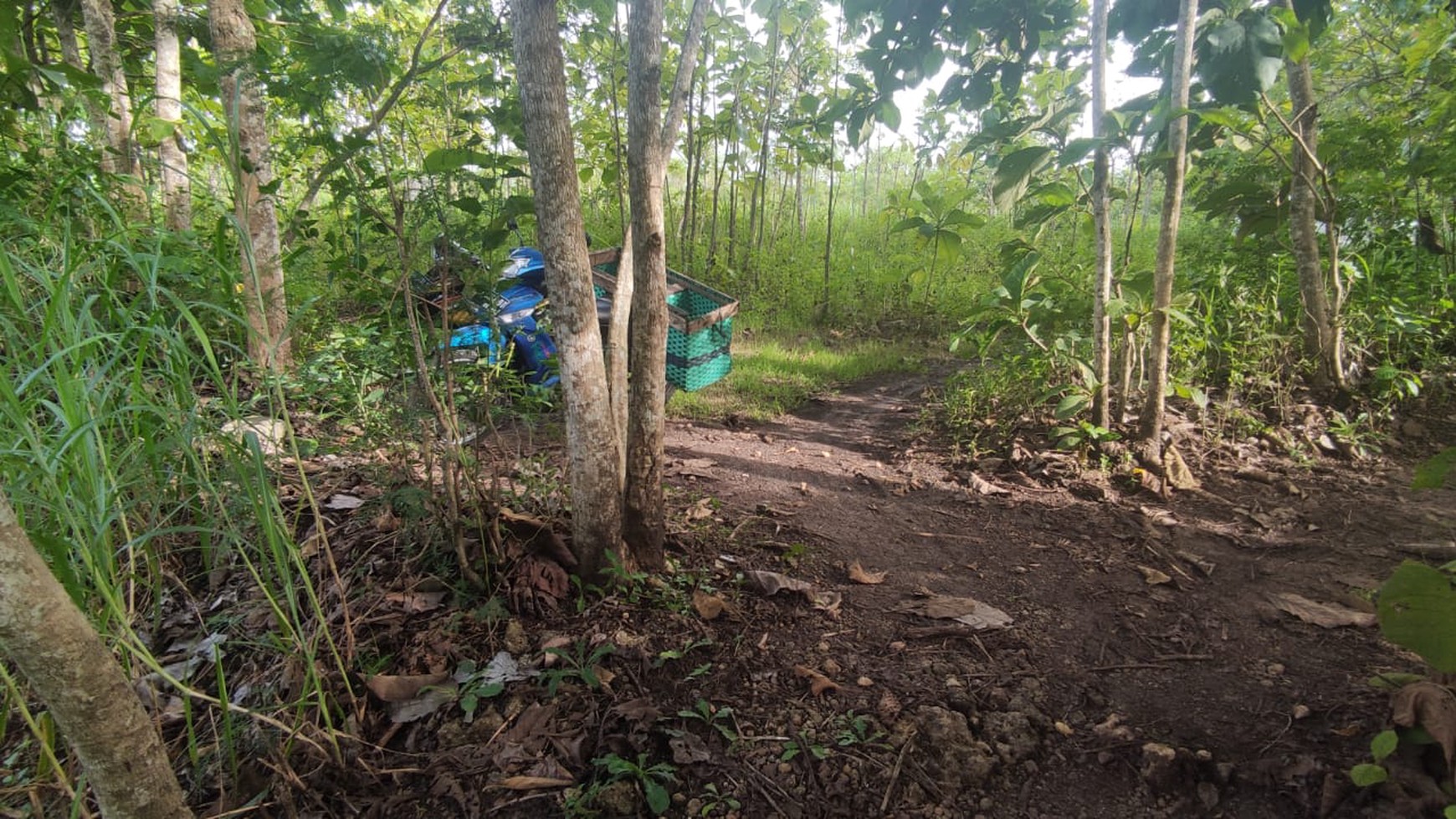 Tanah Tegalan 735 Meter Persegi Di Jl Semanu Gunung Kidul
