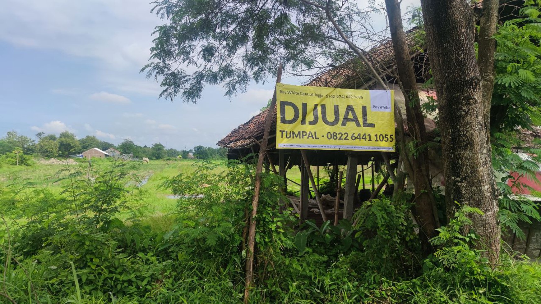 TANAH LUAS DI PLERET BANTUL