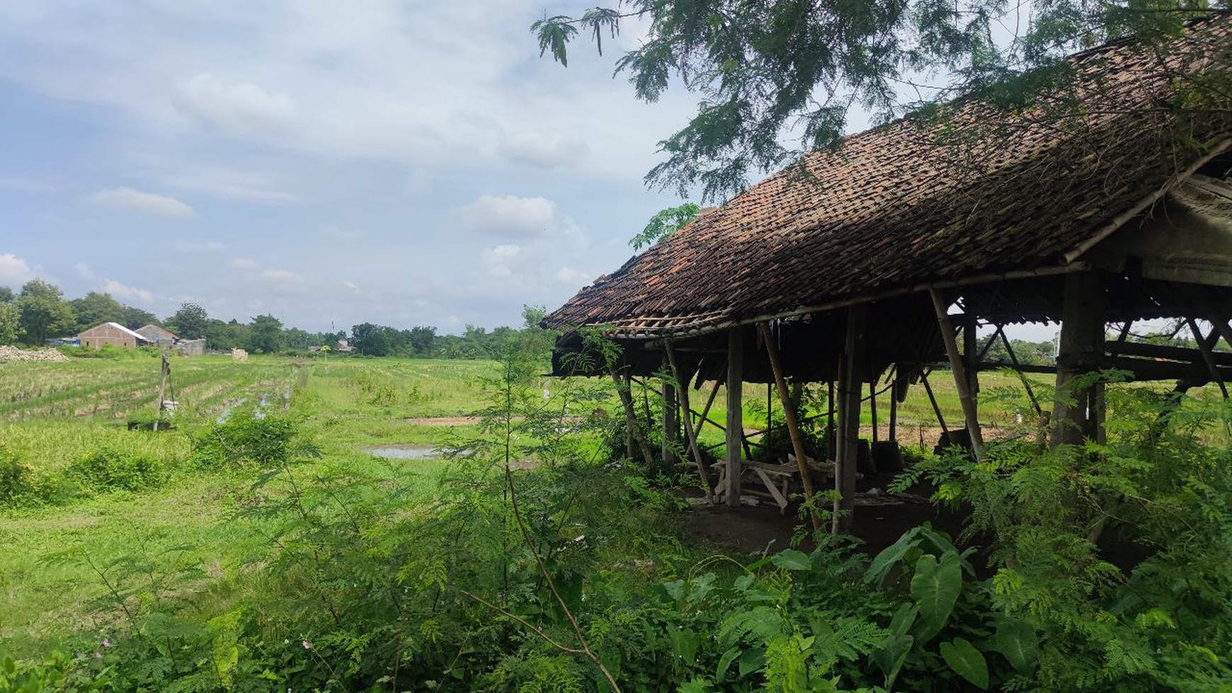 TANAH LUAS DI PLERET BANTUL
