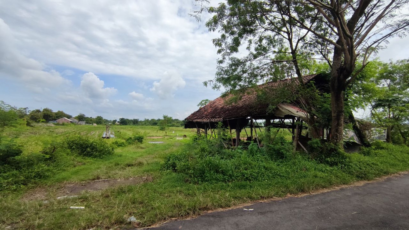 TANAH LUAS DI PLERET BANTUL