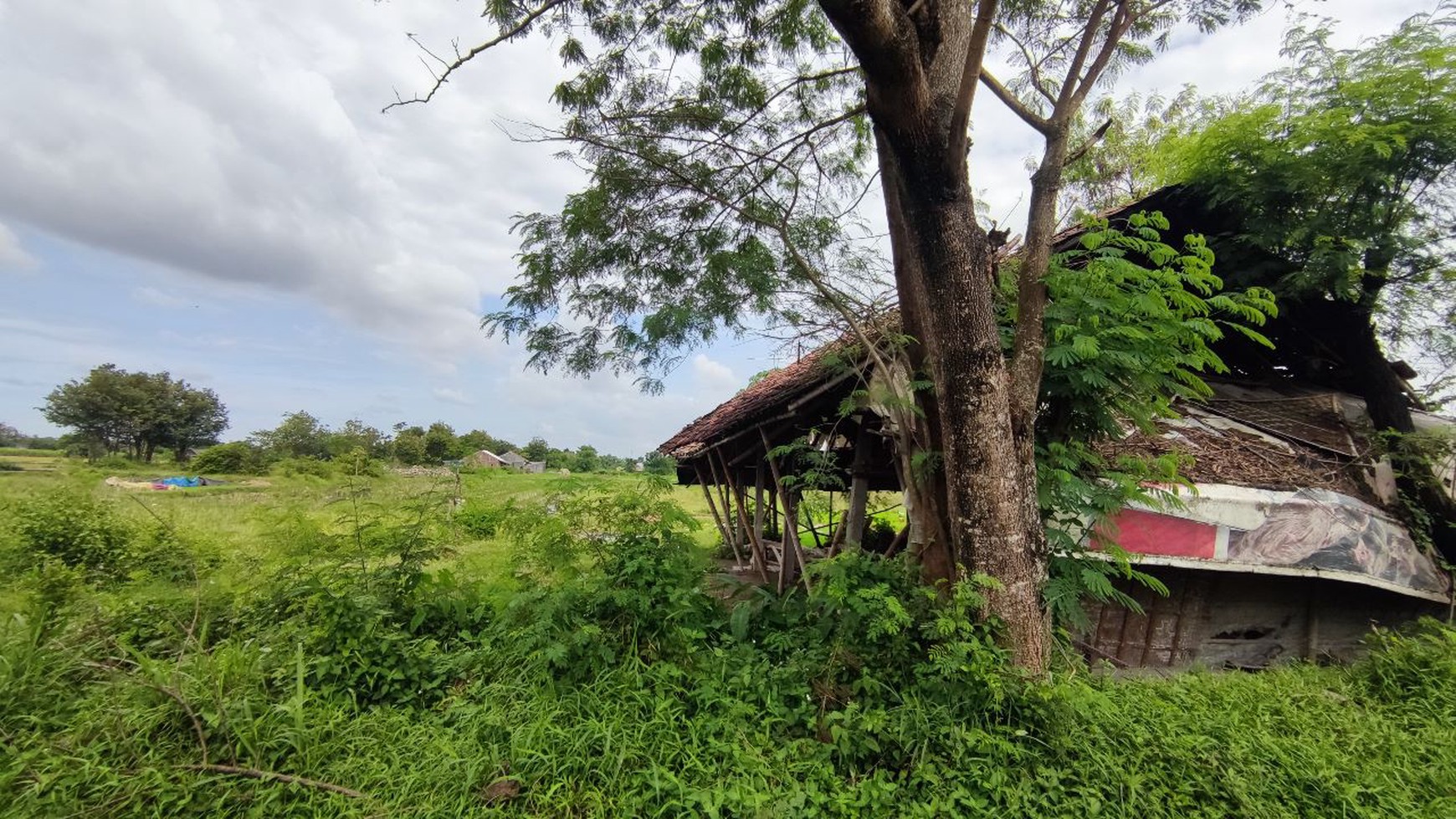 TANAH LUAS DI PLERET BANTUL