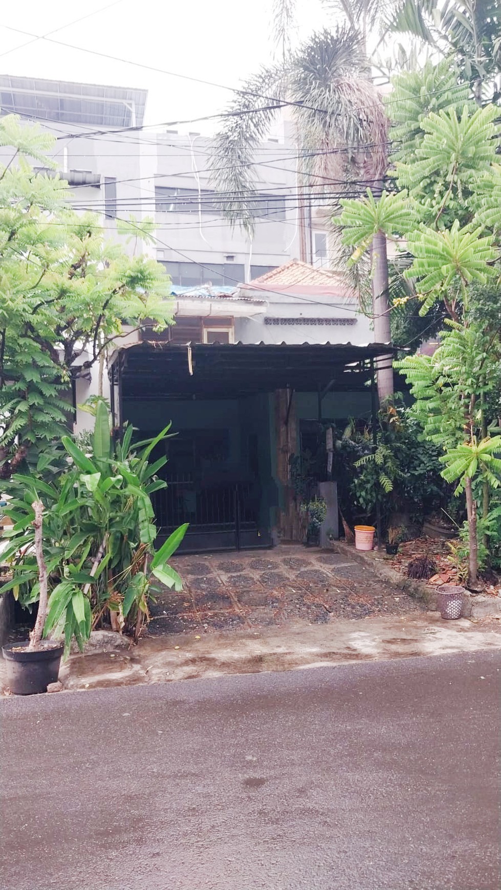 Rumah  Bagus Di Jl Sungai Sambas Kebayoran Baru Jakarta Selatan