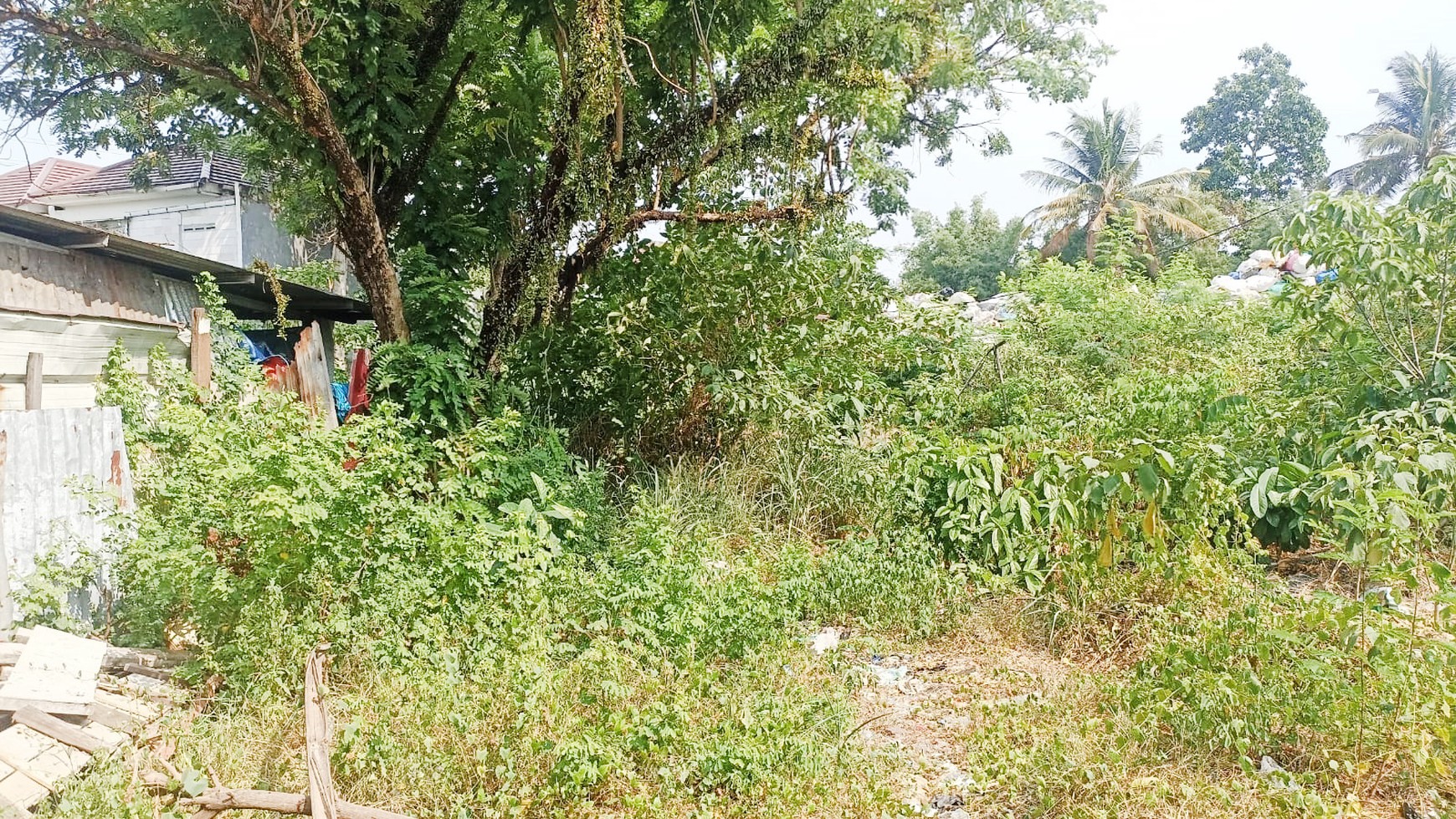 Kavling Siap Bangun Di Jl Palem Puri Ciputat Tangerang Selatan