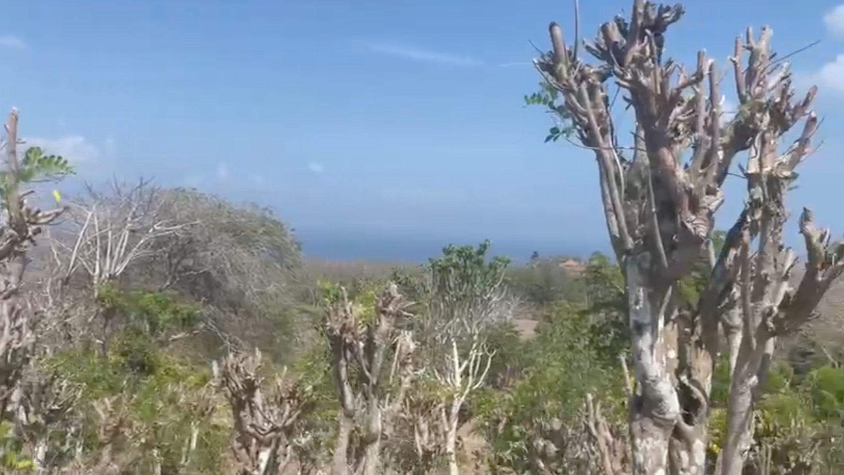 Land Freehold 16330 Sqm Ocean View In Pecatu