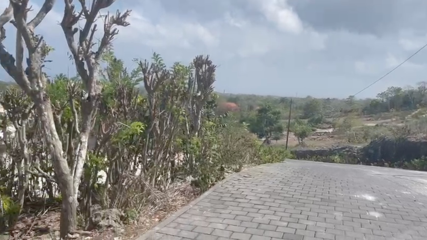 Land Freehold 16330 Sqm Ocean View In Pecatu