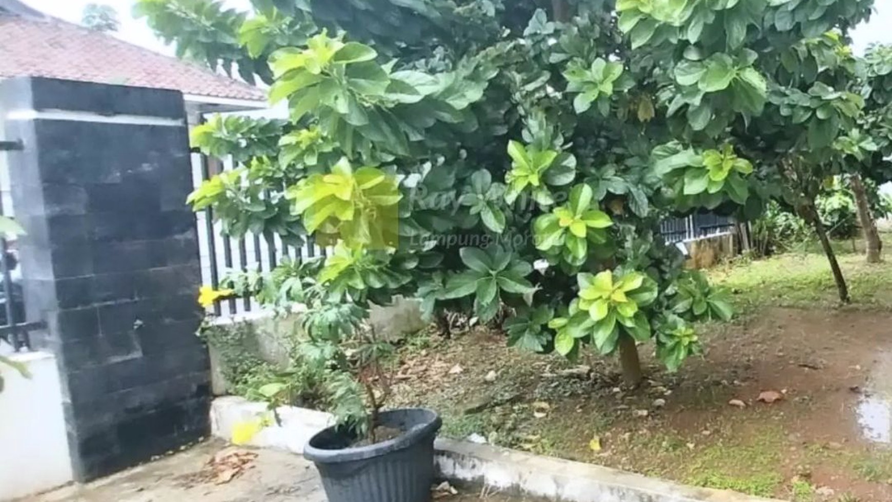 DIJUAL RUMAH 2 LANTAI  DI SUKARAME