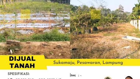 Dijual tanah kebun