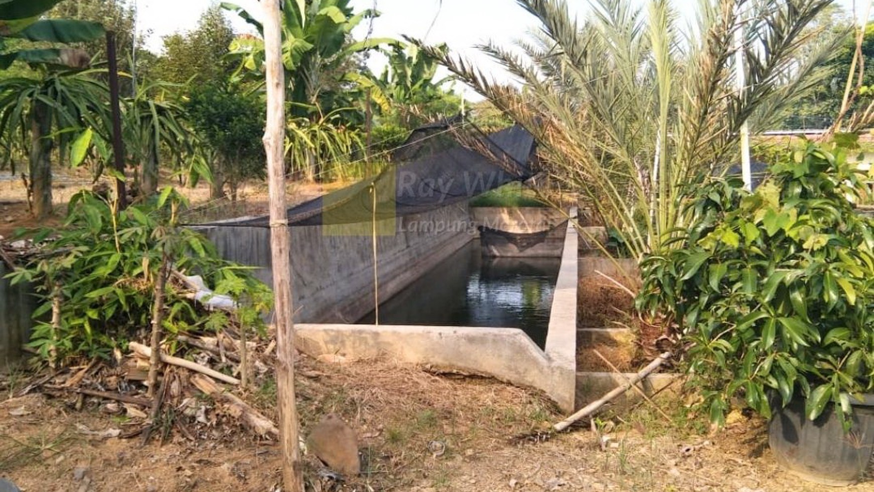 Dijual tanah kebun