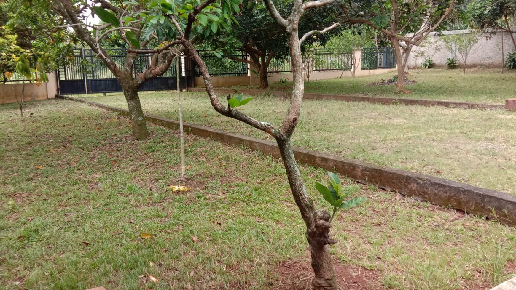 Rumah Hitung Tanah Area Cipete