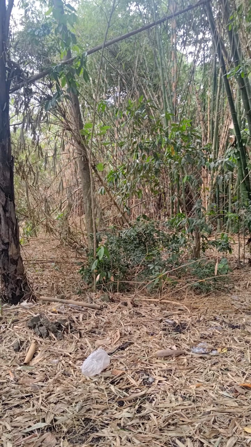 Tanah Luas 1552 Meter Persegi Lokasi Strategis di Jl Jongke Mlati Sleman 