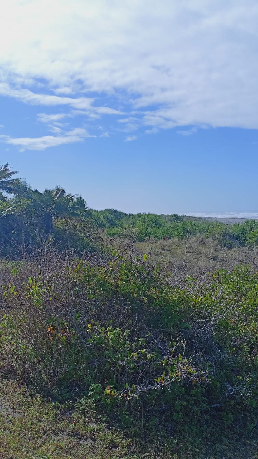 Dijual/Disewakan Lahan 133,Ha di Bibir Pantai Cianjur Jawa Barat