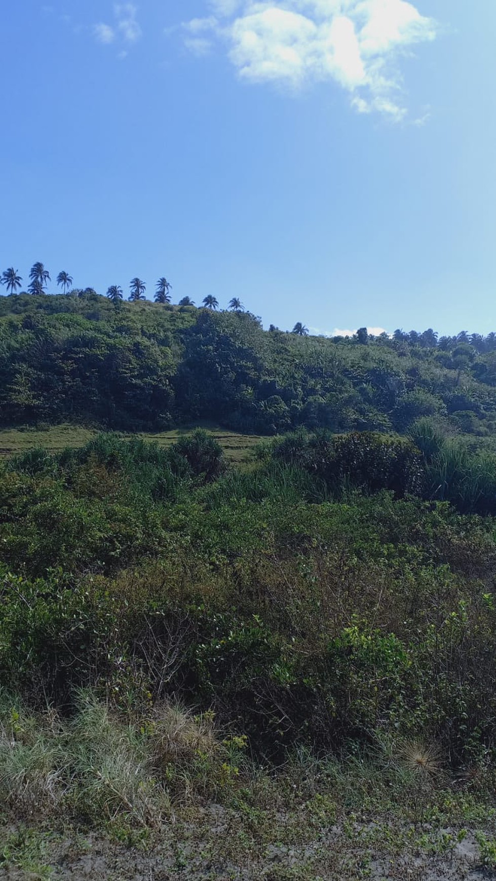 Dijual/Disewakan Lahan 133,Ha di Bibir Pantai Cianjur Jawa Barat