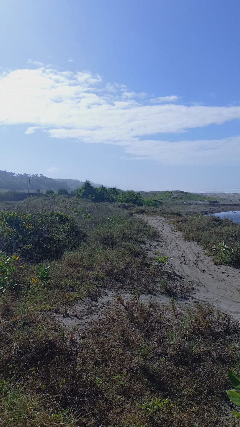 Dijual/Disewakan Lahan 133,Ha di Bibir Pantai Cianjur Jawa Barat