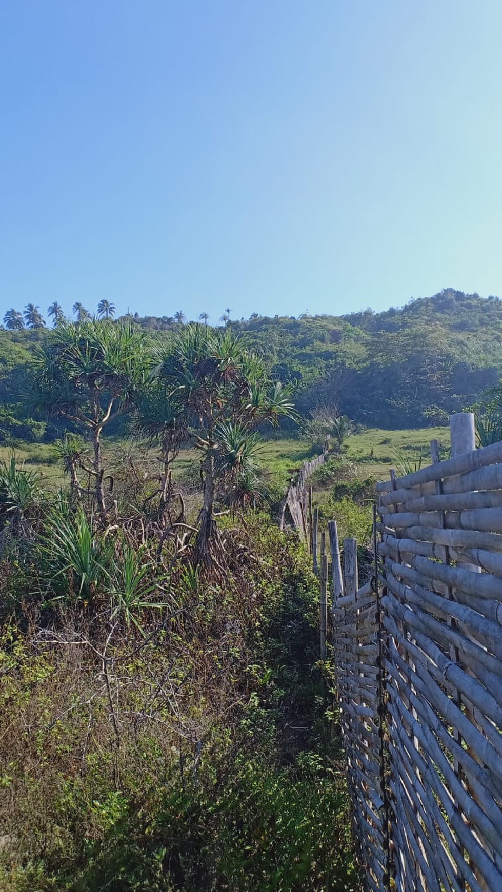 Dijual/Disewakan Lahan 133,Ha di Bibir Pantai Cianjur Jawa Barat