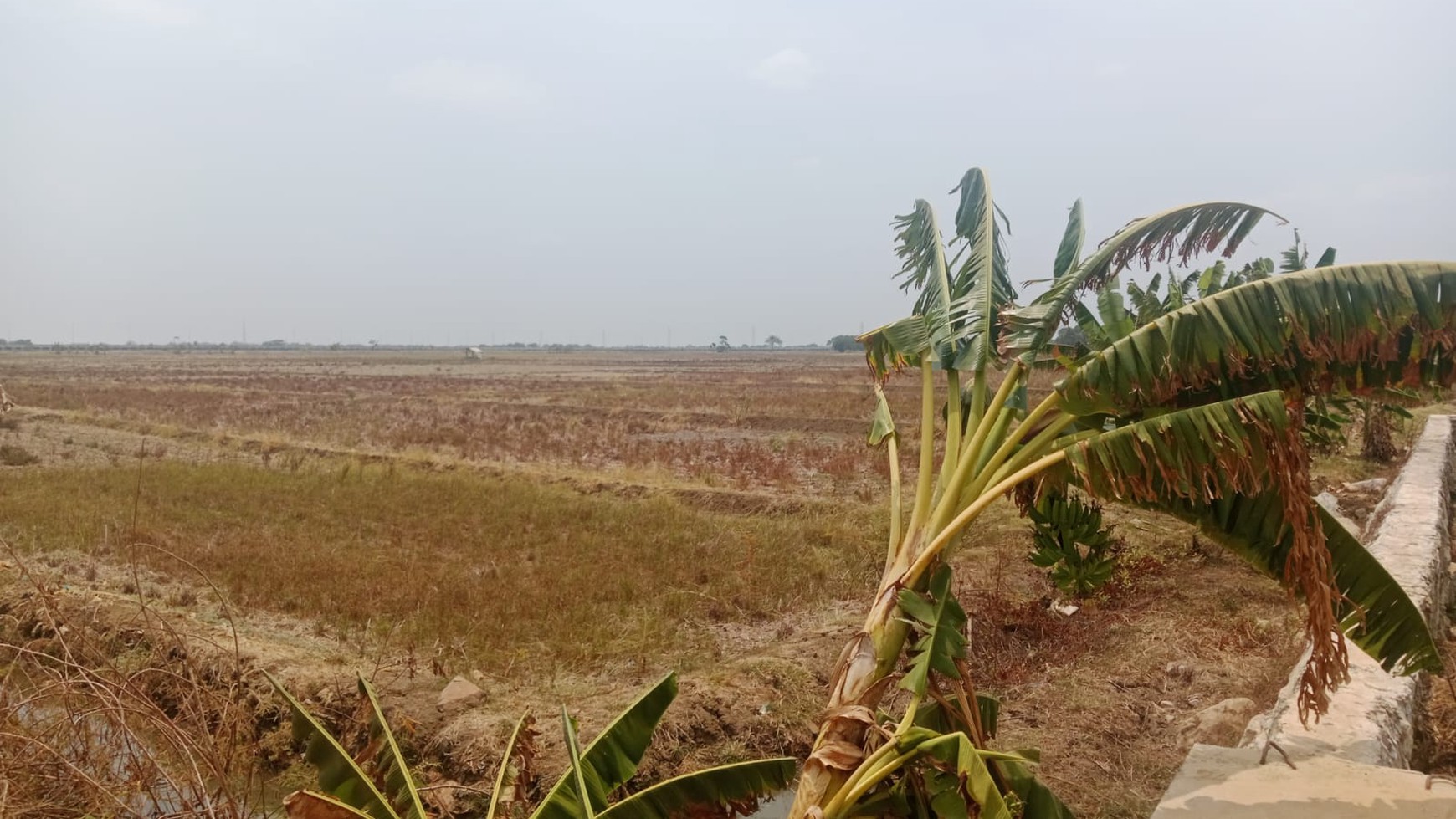 Dijual/Disewakan Lahan 10 Ha Lokasi Dekat Pelabuhan Patimban Subang Jawa Barat