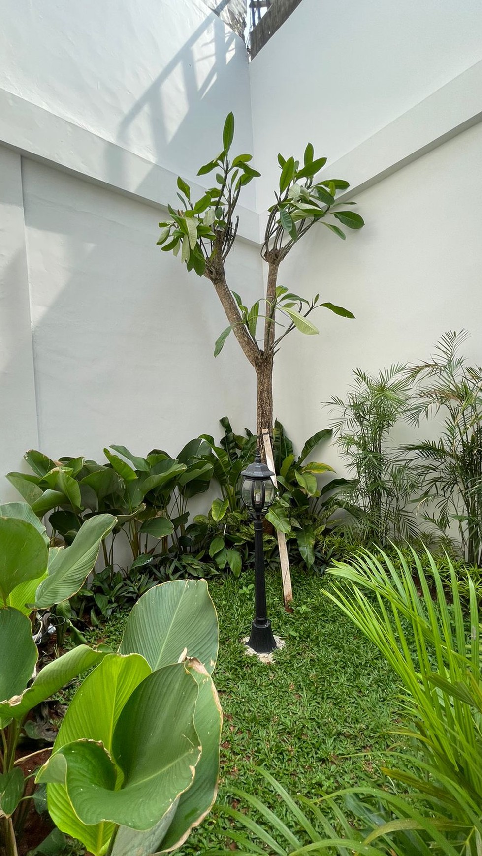 Rumah Bangunan Brand New Siap Huni Lokasi Strategis di Kebon Jeruk, Jakarta Barat.