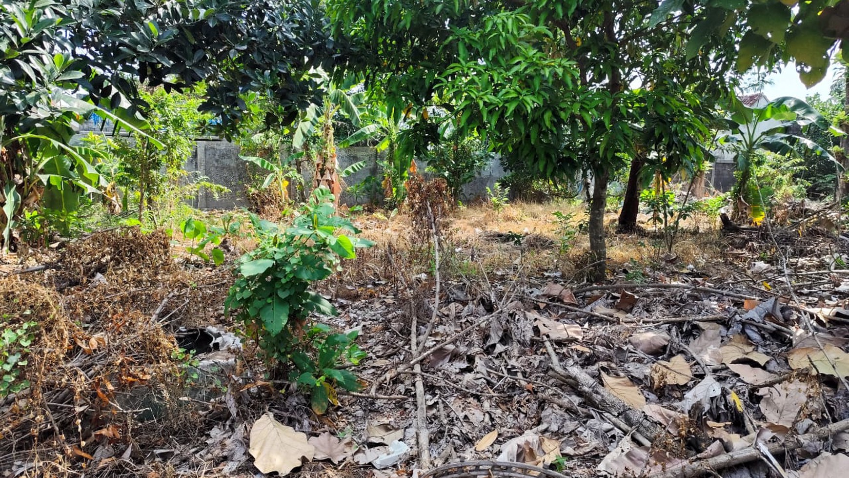 Tanah Pekarangan Luas 1121 Meter Persegi Lokasi Dekat Stadion Maguwoharjo 